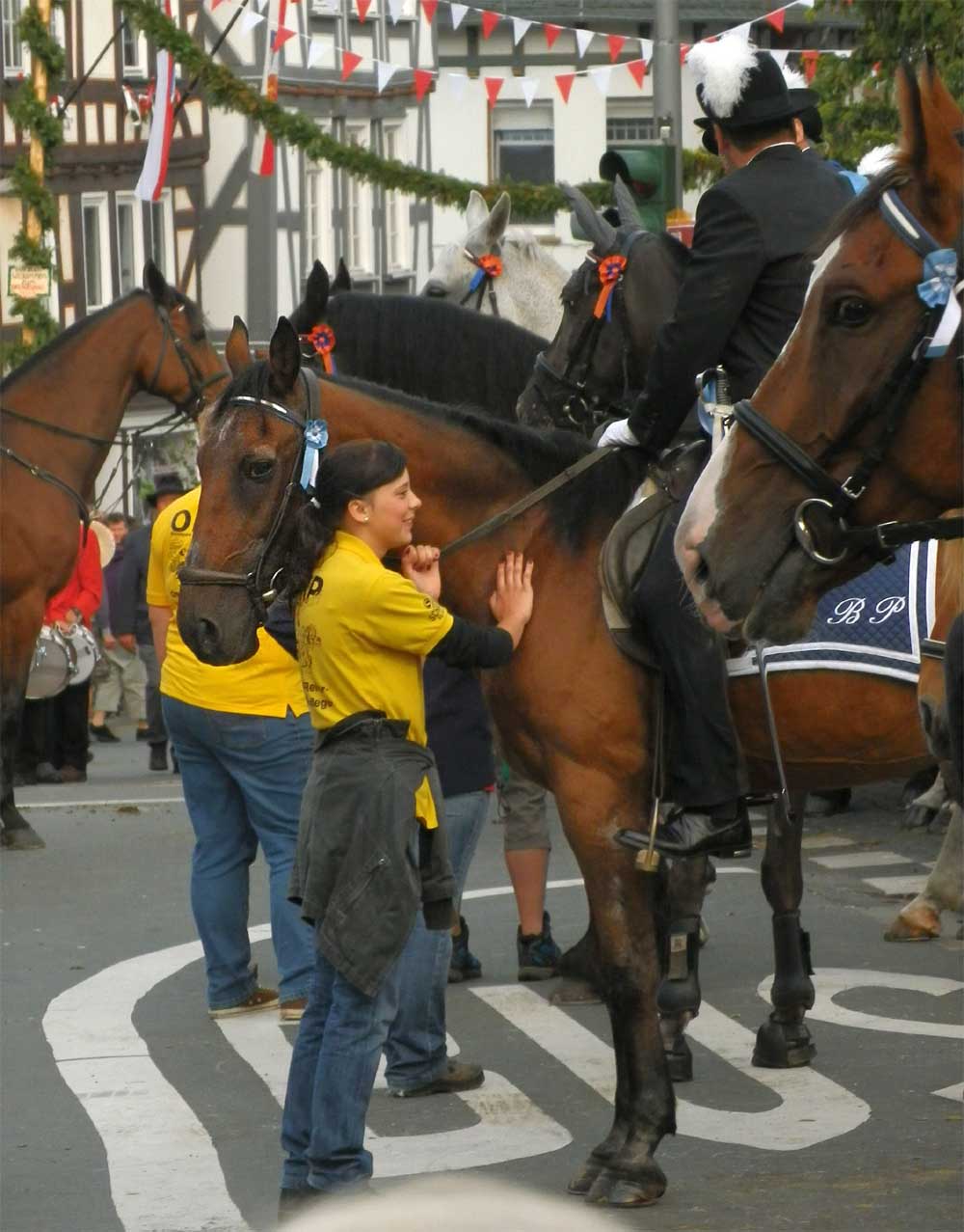 A horse nervous in all the commotion is comforted by its personal caregiver.