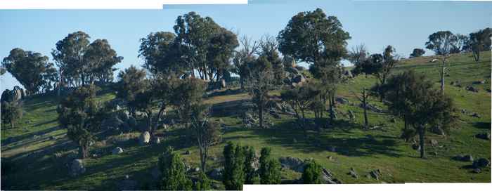 The Poplars property, Gunning, NSW Australia