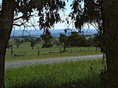 Countryside at Biala via Gunning, NSW, Australia