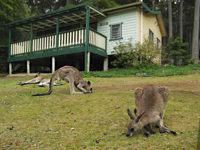 The cove at Pebbly Beach cottages, Muramarang National Park, NSW, Australia