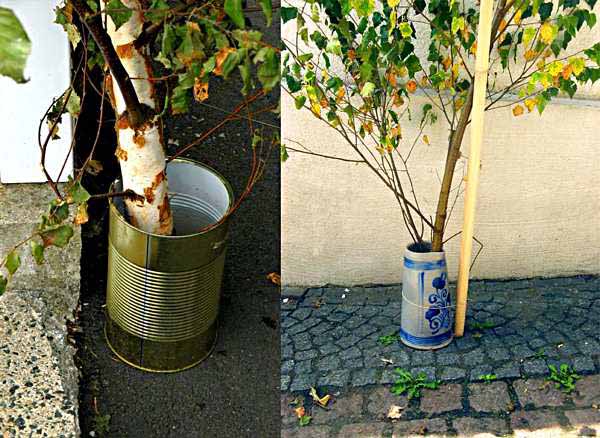 Birch trees decorate streets in Biedenkopf's Altstadt during the Grenzgang festival Civic society - Birch trees decorate streets
