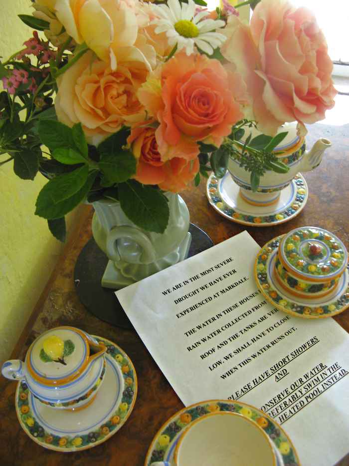 Markdale garden flowers, Binda, NSW, Australia