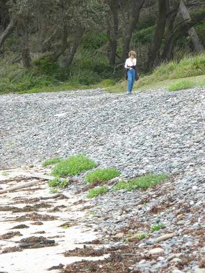 Pebbly Beach, Muramarang National Park, NSW, Australia