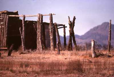 Abandoned homestead on the road to Hawker, South Australia.